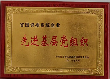 省國(guó)資委系統(tǒng)企業(yè)**基層黨組織.png